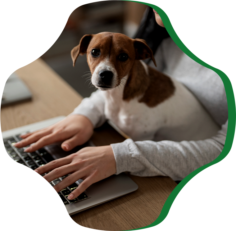 pet lifestyle together with owner